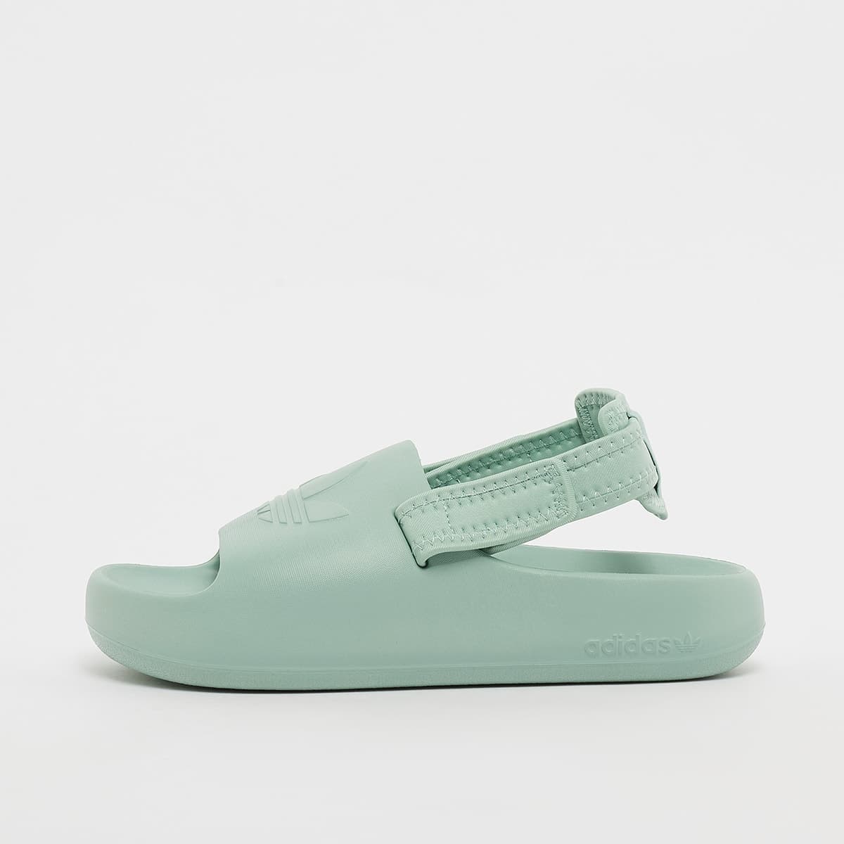 Adifom adilette (GS)