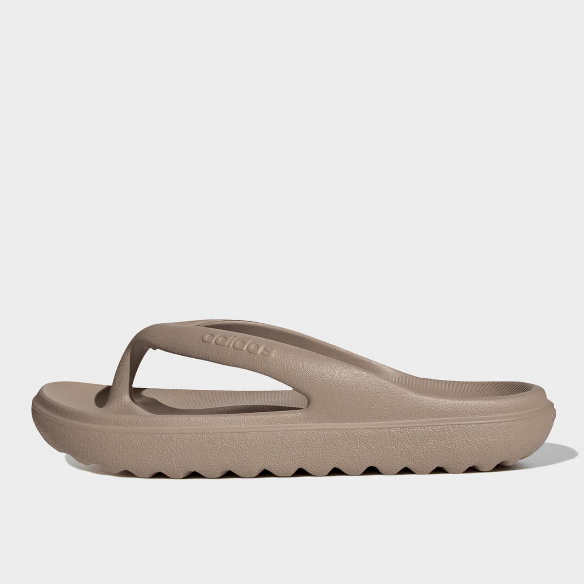 Adilette Lumia Flip Flop