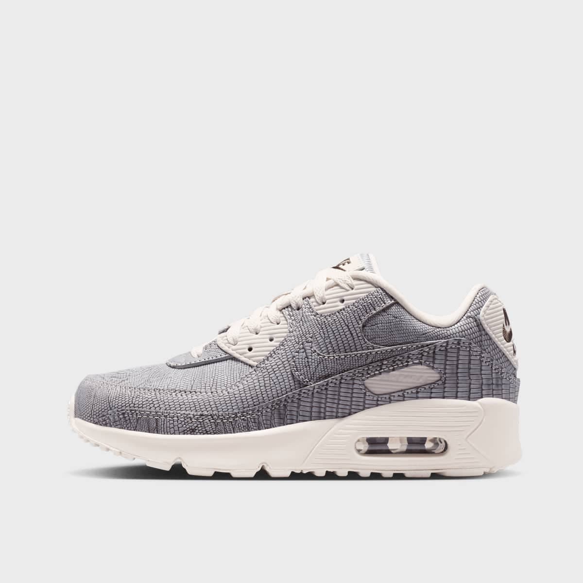 Air Max 90 Tech (GS)