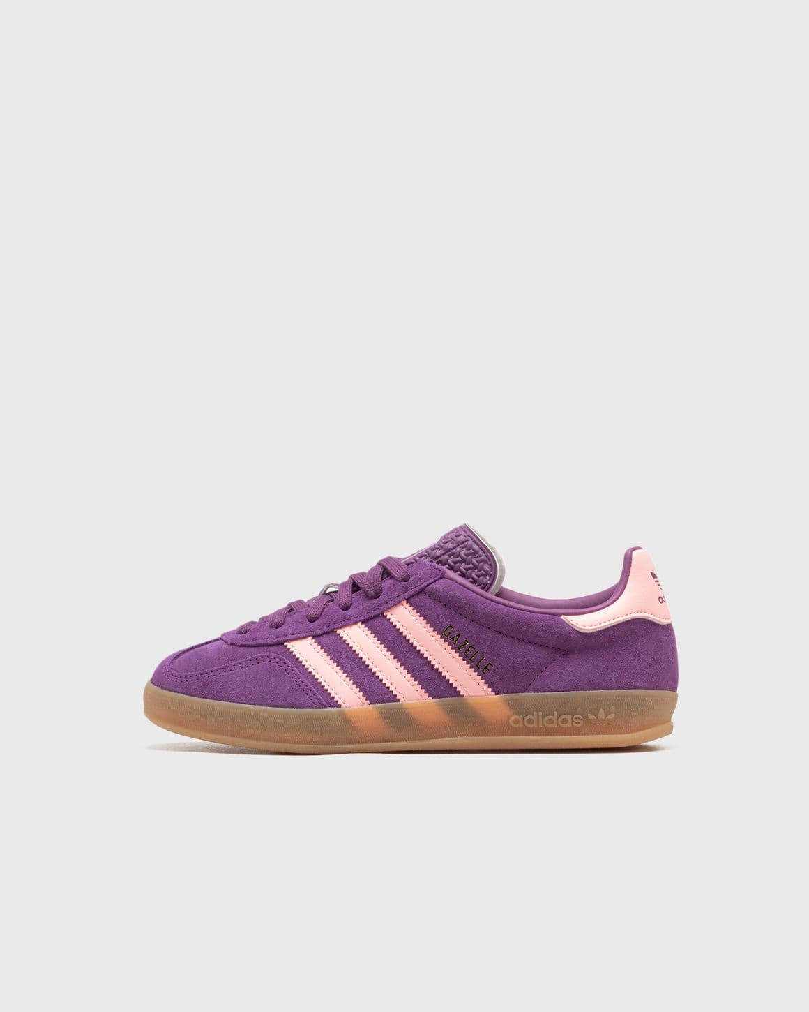 GAZELLE INDOOR