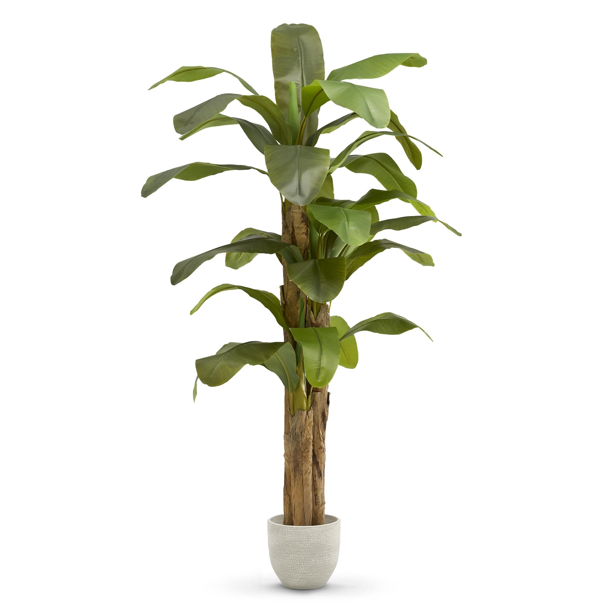 MAIA SHOP Platanera Artificial 210 cm con Tronco Natural – Planta Artificial Grande y Realista, Árbol Decorativo para Salones, Oficinas, Hoteles y Restaurantes