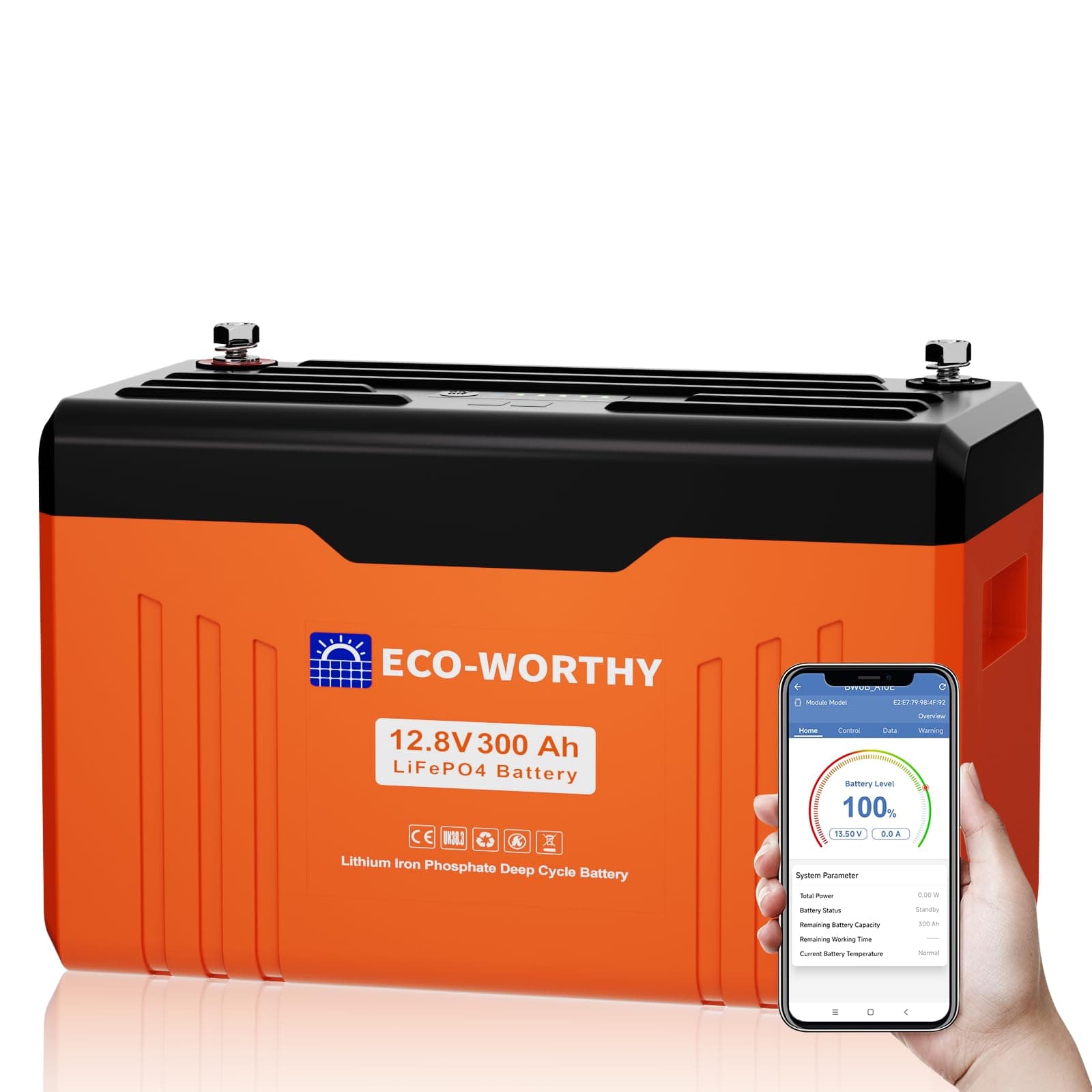 ECO-WORTHY Bateria Litio 12V 300 Ah con Bluetooth, Indicador LED, Protección BMS de Baja Temperatura y máx. 15000 Ciclos, 3840 WH Bateria LiFePO4 12 V para Autocaravana, Panel Solar