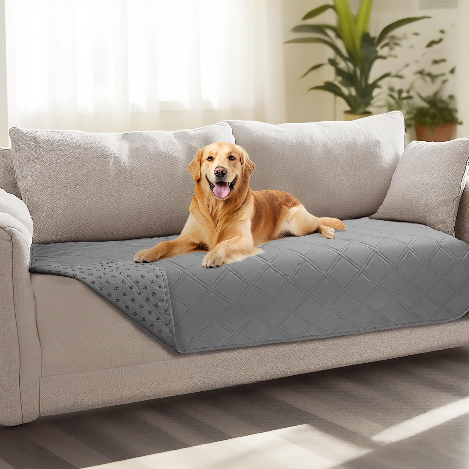 luciphia Copridivano per Cani Impermeabile, Coperta per Cani 100% Impermeabile con Punti Antiscivolo Tappetino Protezione per Mobili Bambini Cane Gatti Lavaggio in Lavatrice Grigio Chiaro 76_x_178cm