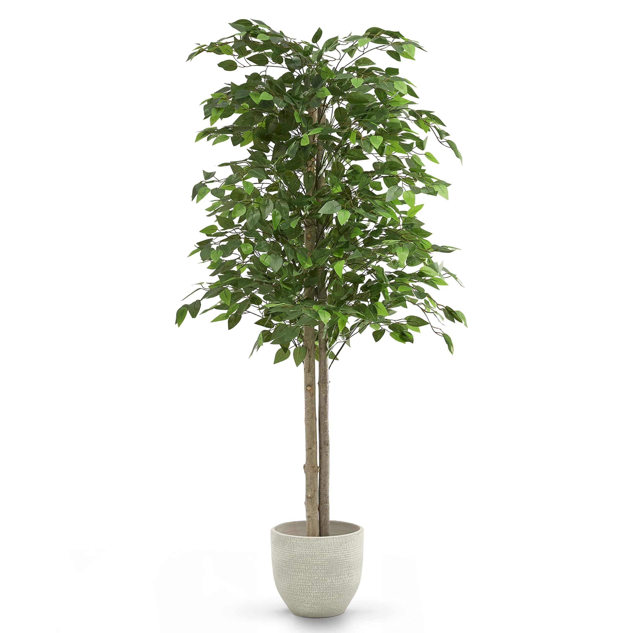 MAIA SHOP Ficus Artificial 150 cm con Tronco Natural, Planta Artificial Realista de Interior, Árbol Decorativo Grande para Hogar, Oficina, Hotel o Eventos