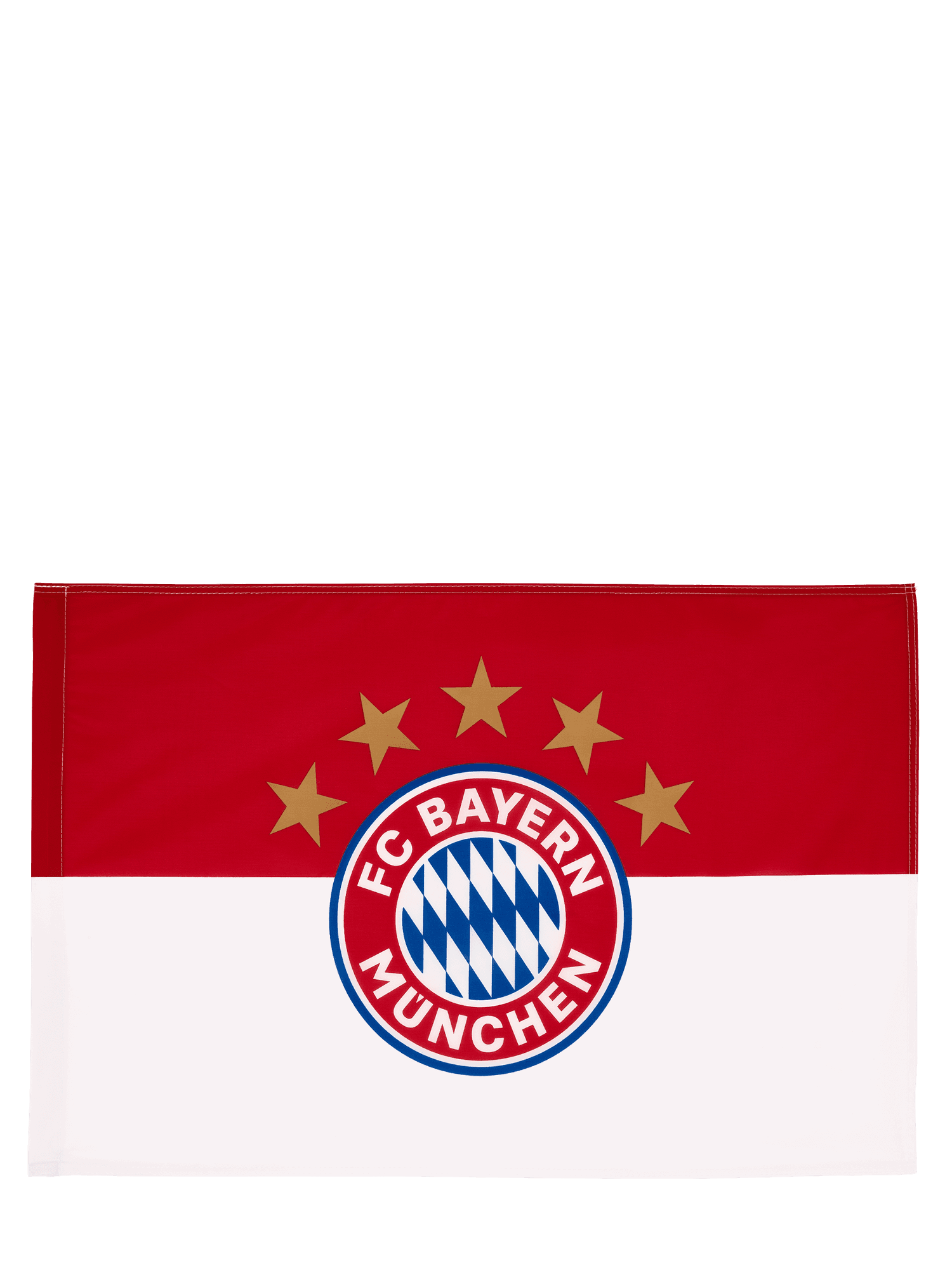 Fahne Logo 90x60 cm