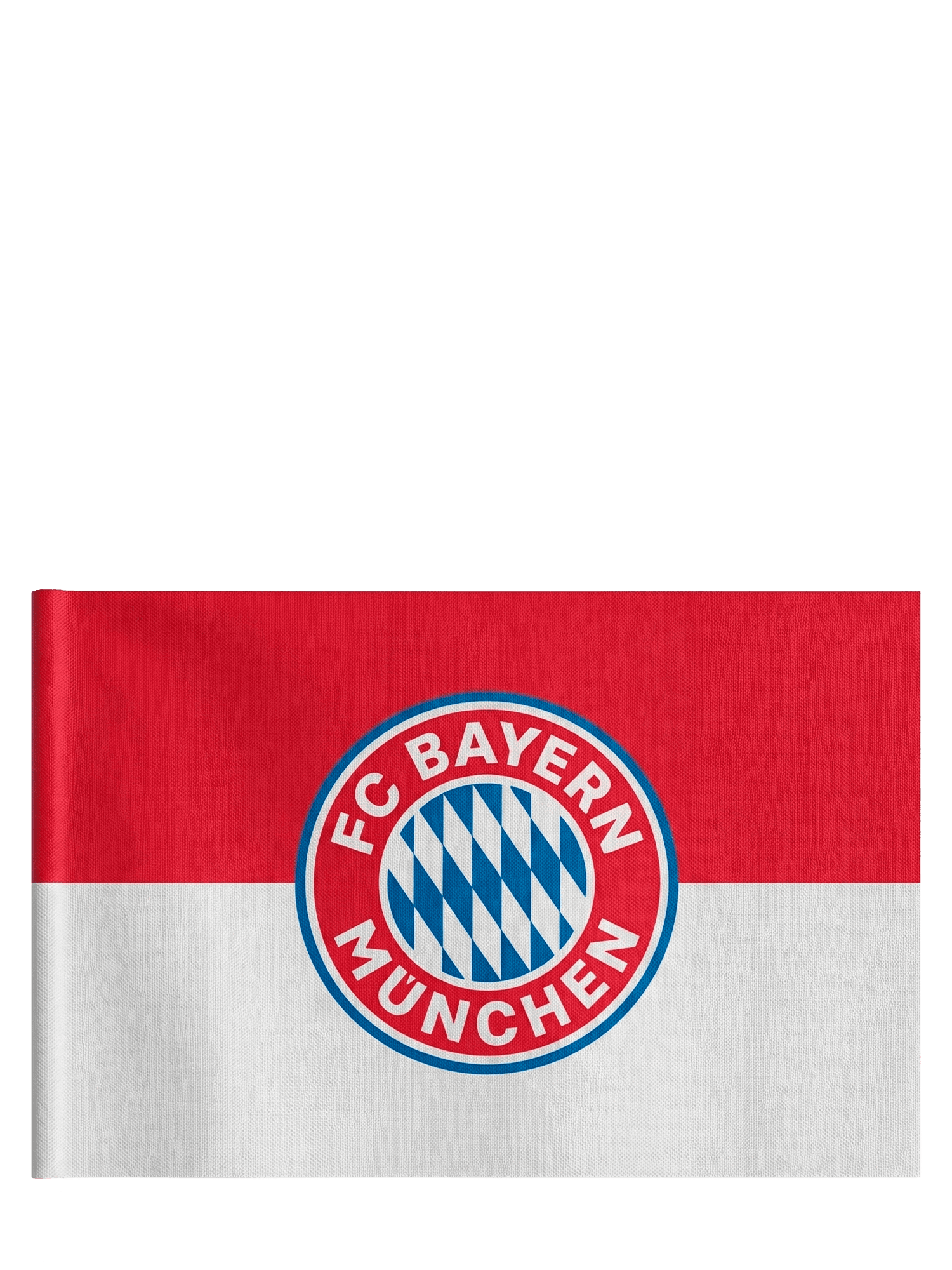 Fahne Logo mit Stock 60x40 cm