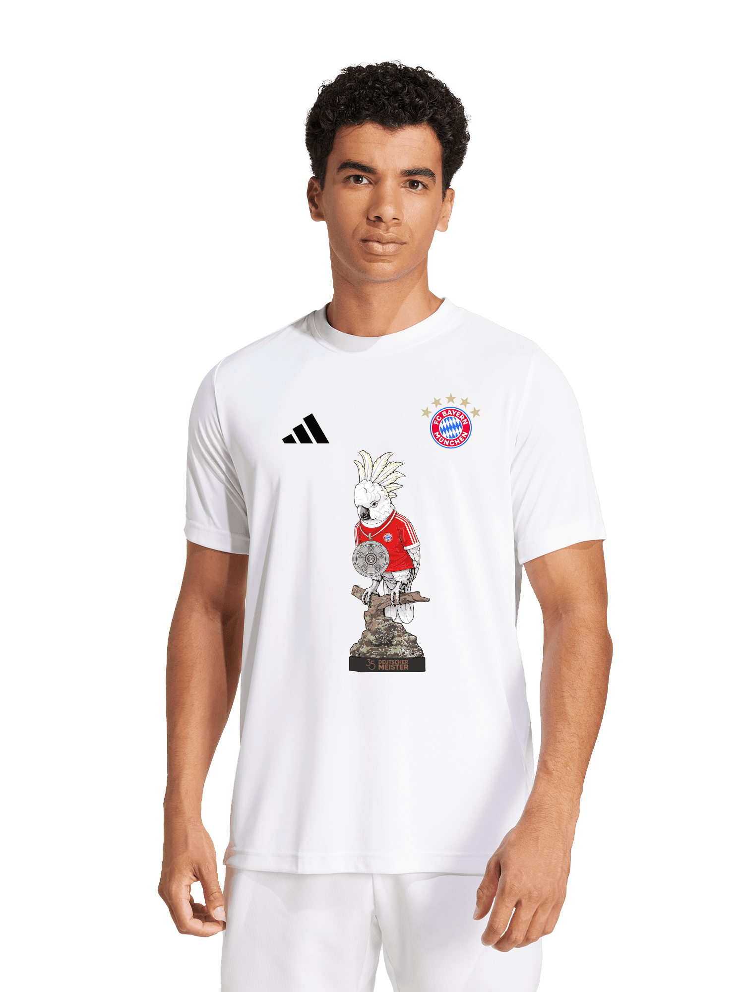 T-Shirt Meister 2026