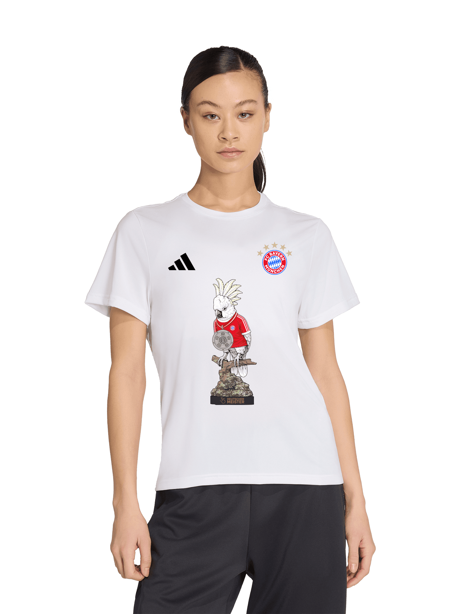T-Shirt Meister 2026