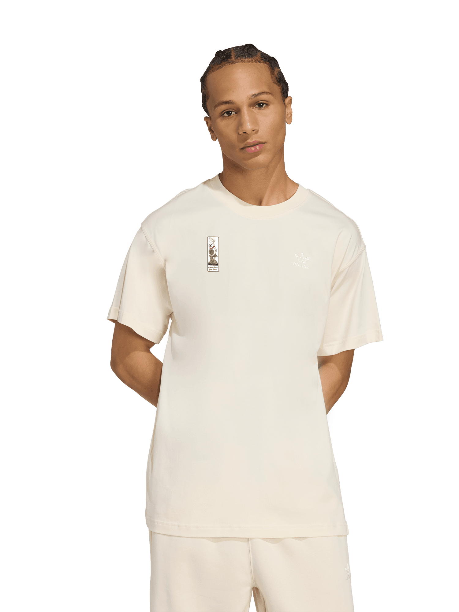 T-Shirt Meister 2026