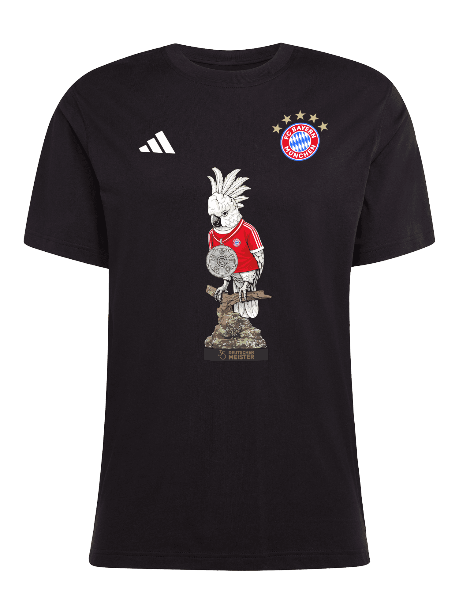 T-Shirt Meister 2026