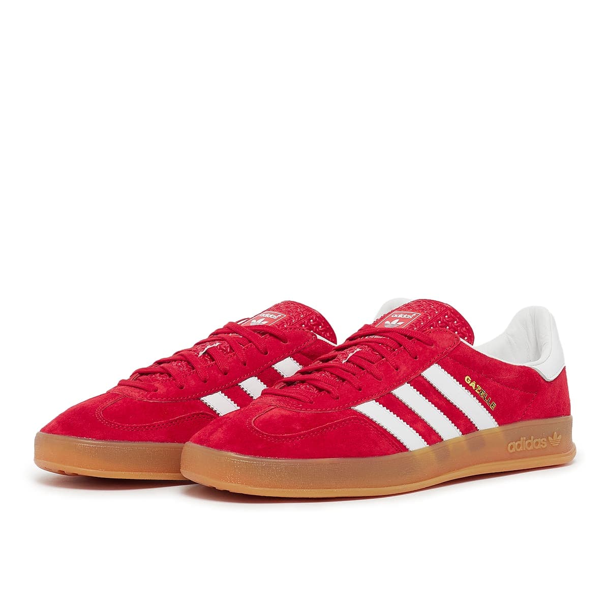 Gazelle Indoor